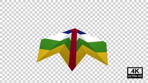 Videohive - Paper Airplane Of Central African Republic Flag - 47704288