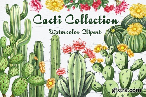 Cactus Watercolor Clipart. Succulent PNG 96JV964