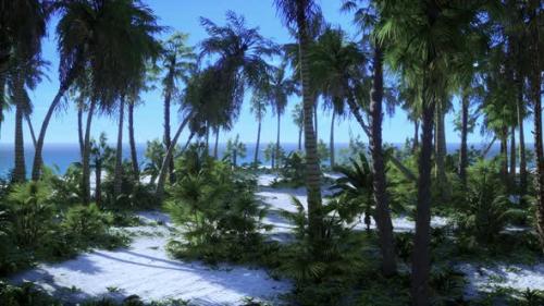 Videohive - Tropical Beach with White Sand Turquoise Water and Palm Trees - 47758160