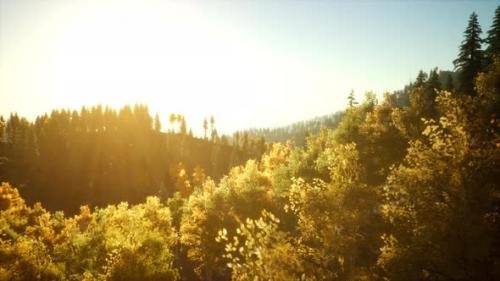 Videohive - Bright Sunset in the Mountains with Forest - 47758318