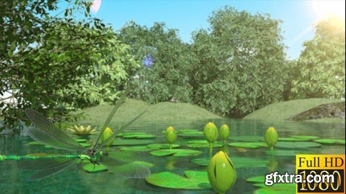 Videohive Lilies and Dragonfly 40026892