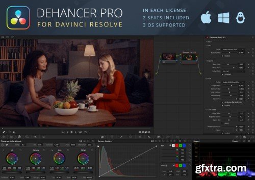 Dehancer Pro OFX 7.1.3 WIN