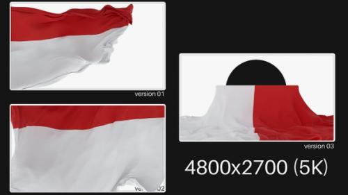 Videohive - Pack Of Monaco Flag On Alpha - 47745382