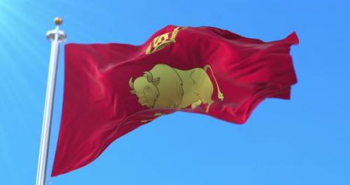 Videohive - Grodno Region Flag, Belarus - 47740366
