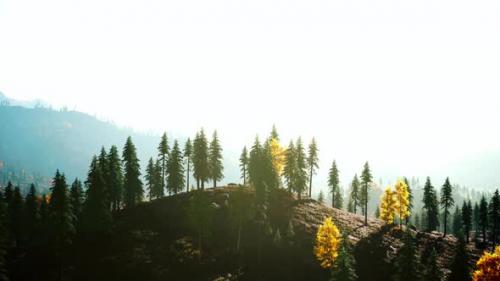Videohive - Sunset in the Mountains with Forest and Shining Sun - 47787597