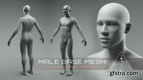 [Blender] Universal Human - Base Body Mesh 2.1