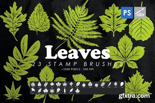 23 Leaves Photoshop Stamp Brushes VNK8QT3