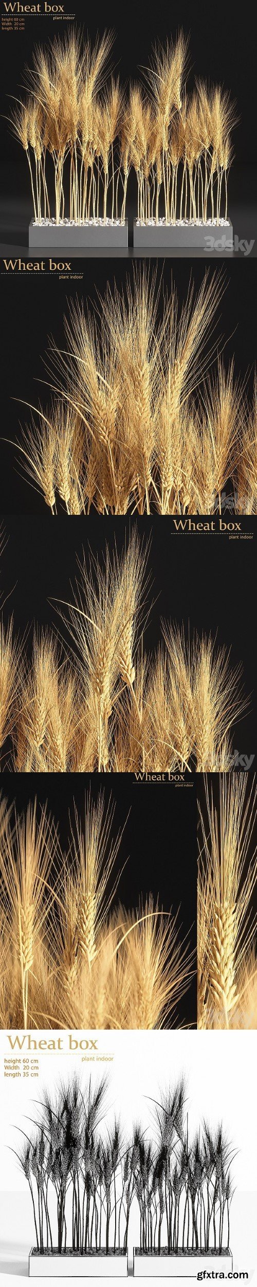 Wheat Box