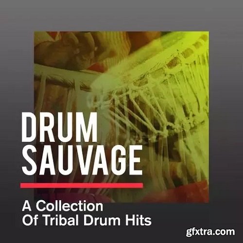 Sonicycle Sonicycle - Drum Sauvage - A Collection Of Tribal Drum Hits