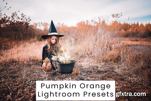 Pumpkin Orange Lightroom Presets Z2QTULK