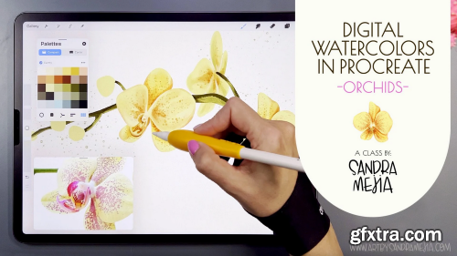 Digital Watercolors in Procreate - Orchids