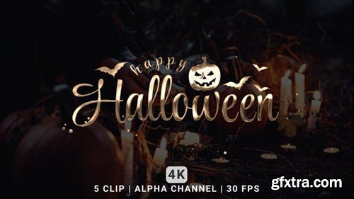 Videohive Text Animation 48047580