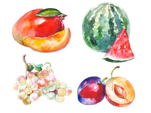 Watercolor painted collection of fruits. Hand drawn fresh food design elements isolated on white background. 639884148