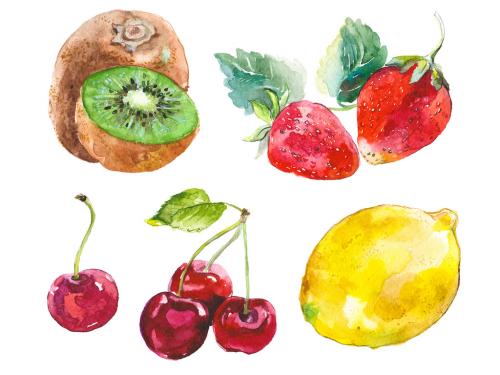 Watercolor painted collection of fruits. Hand drawn fresh food design elements isolated on white background. 639884116