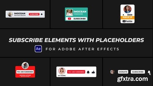 Videohive Subscribe Elements with Placeholders 48089358