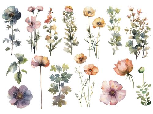 Watercolor painted flowers. Hand drawn flower design elements isolated on white background. 639883826