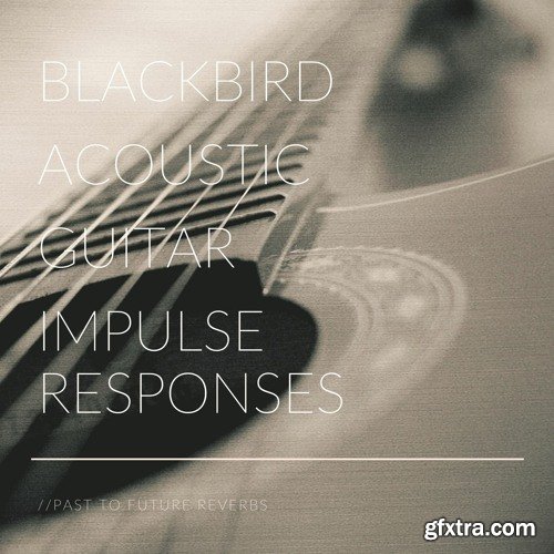 PastToFutureReverbs Blackbird Acoustic Guitar Impulse Responses