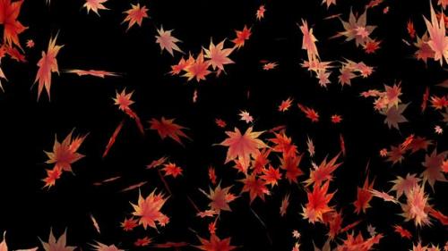 Videohive - Leaves Animation Background - 48037683