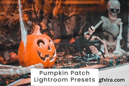 Pumpkin Patch Lightroom Presets GXHV6C8