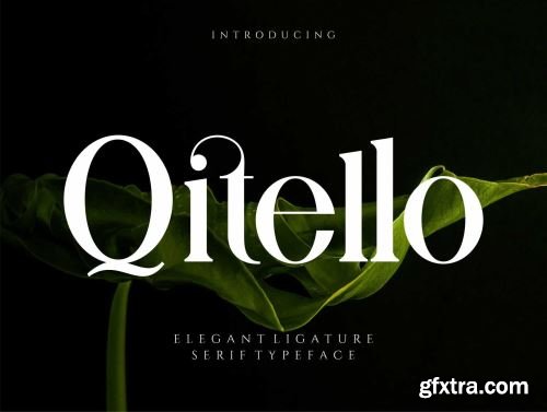 Qitello Ligature Serif Typeface Ui8.net