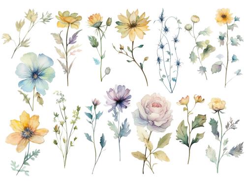 Watercolor painted flowers. Hand drawn flower design elements isolated on white background. 646515936