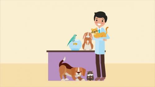 Videohive - Veterinary Doctor with Animals Clinic - 48040380