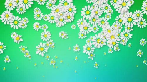 Videohive - Growing Flowers Background - 48041938