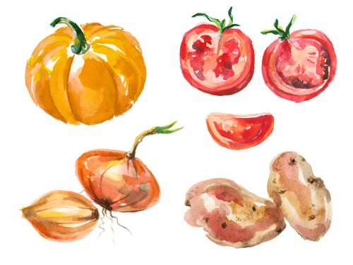 Watercolor painted collection of vegetables. Hand drawn fresh food design elements isolated on white background. 646516340