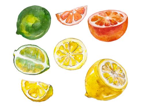 Watercolor painted collection of fruits. Hand drawn fresh food design elements isolated on white background. 646516125