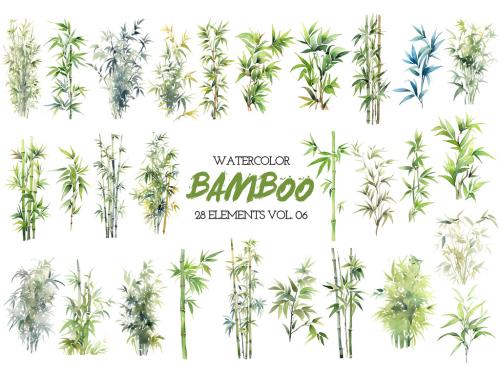 Watercolor painted bamboo clipart. Hand drawn design elements isolated on white background. 646516051