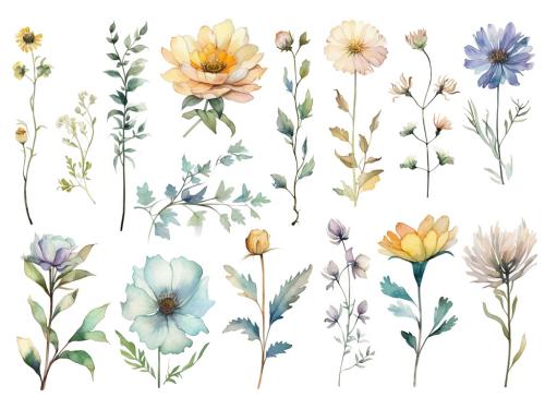 Watercolor painted flowers. Hand drawn flower design elements isolated on white background. 646515886