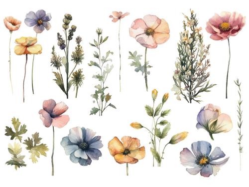 Watercolor painted flowers. Hand drawn flower design elements isolated on white background. 646515859
