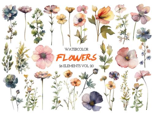 Watercolor painted flowers. Hand drawn flower design elements isolated on white background. 646515840