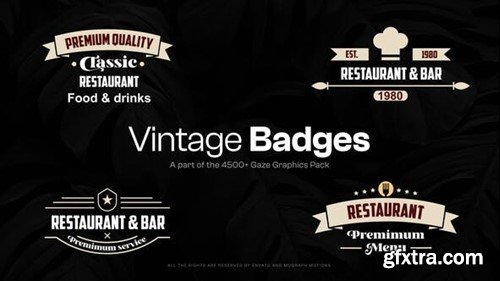 Videohive 15 Vintage Badges 48321856