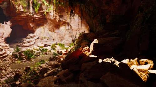 Videohive - A Cave Filled with Natural Rock Formations and Lush Vegetation - 48093713