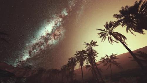 Videohive - The Milky Way Rises Over Plam Trees - 48099519