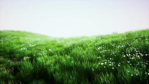 Videohive - Landscape View of Green Grass on Slope at Sunrise - 48099646