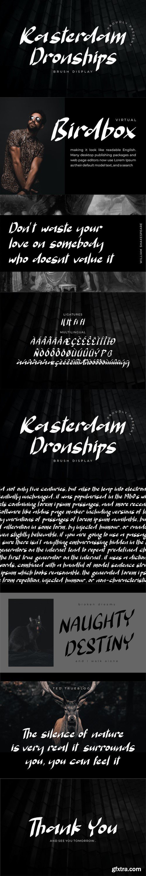 Rasterdam Dronships Brush Display