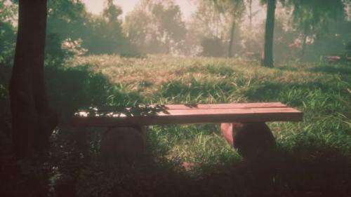 Videohive - Cosy Wooden Bench Under a Tree in Idyllic Rural Landscape with Sun Shining - 48127115