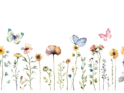 Vector watercolor painted meadow flowers. Horizontal seamless pattern isolated on white background 646949962