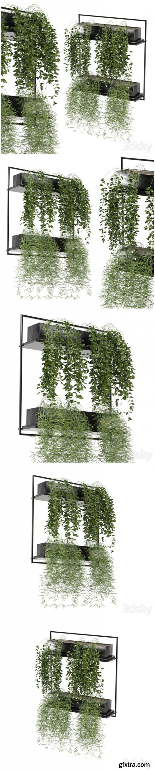 Indoor hanging plants in metal box_set 142