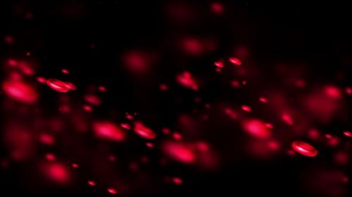 Videohive - Blood cells floating on a black background - 48068172