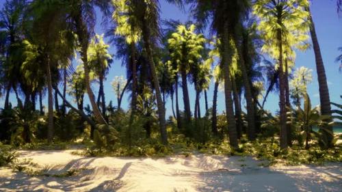 Videohive - A Tropical Paradise Beach with Palm Trees and Clear Blue Skies - 48093958