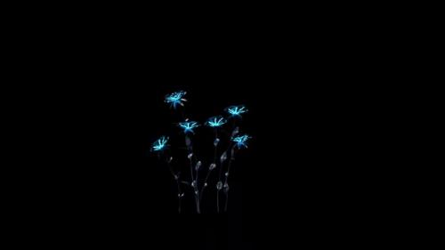 Videohive - Growing Blue Flowers - 48077553