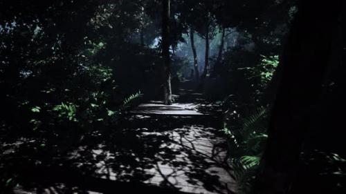 Videohive - Crooked Wooden Track Navigates a Sunlit Jungle - 48195756