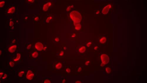 Videohive - Abstract Animation Of Human Red Blood Cell, Loop Animation Of Blood Cell Moving On The Red Backgroun - 48128031