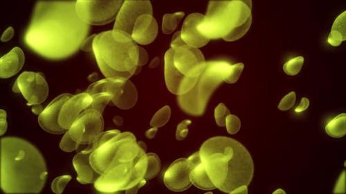 Videohive - Animation Of Human Red Blood Cell Turned Into Green , Virus Effected The Red Blood Cell In The Human - 48128034