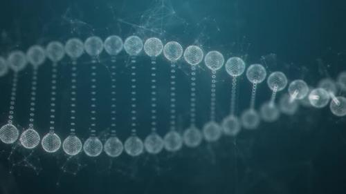 Videohive - Blue DNA Structure Wireframe Abstract Background Medical Science and Genetic Biotechnology Concept - 48133101