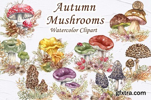 Autumn Mushrooms FZ4JXZ7