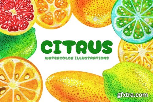 Citrus - Watercolor Illustrations 56BG27N